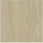 Endless Elm