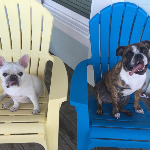 Frank and Mia