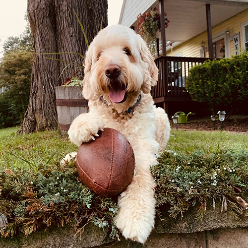 Rudy