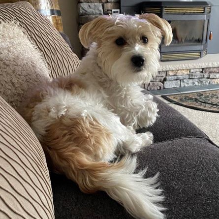 Bentley